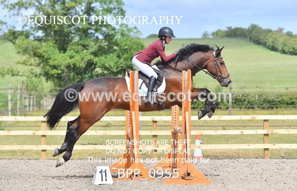 BPP_0955 - Senior British Novice/ 90cm Open