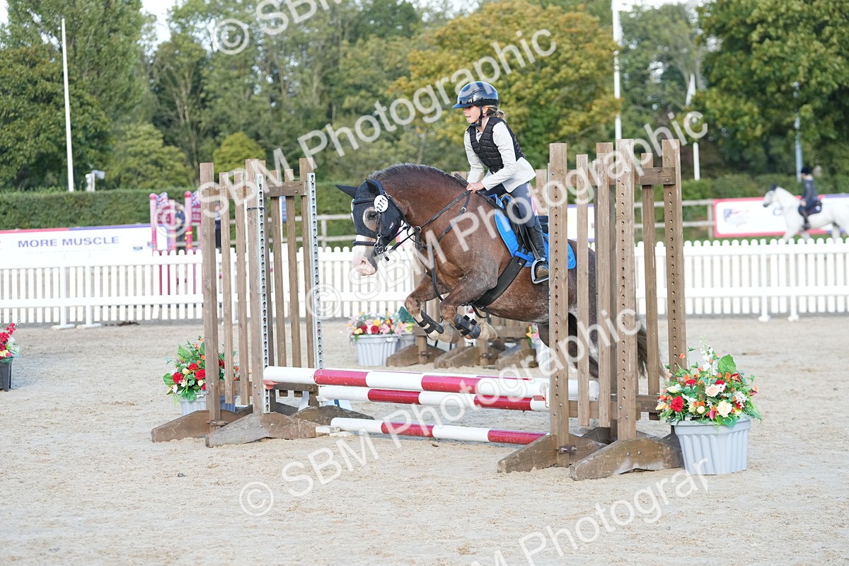 SBM_29046 - J43 - Horse & Hound Open 50cm