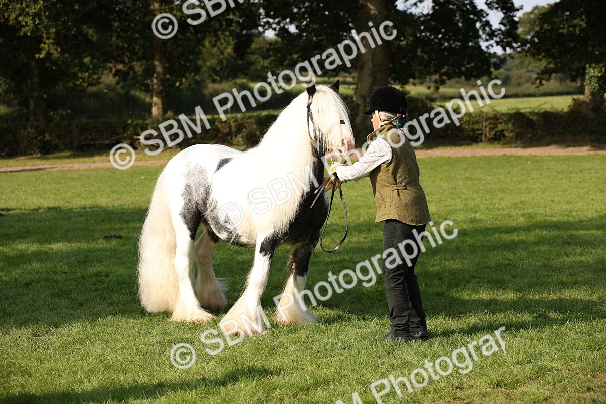 SBM_62217 - S55 - Traditional Cob In Hand