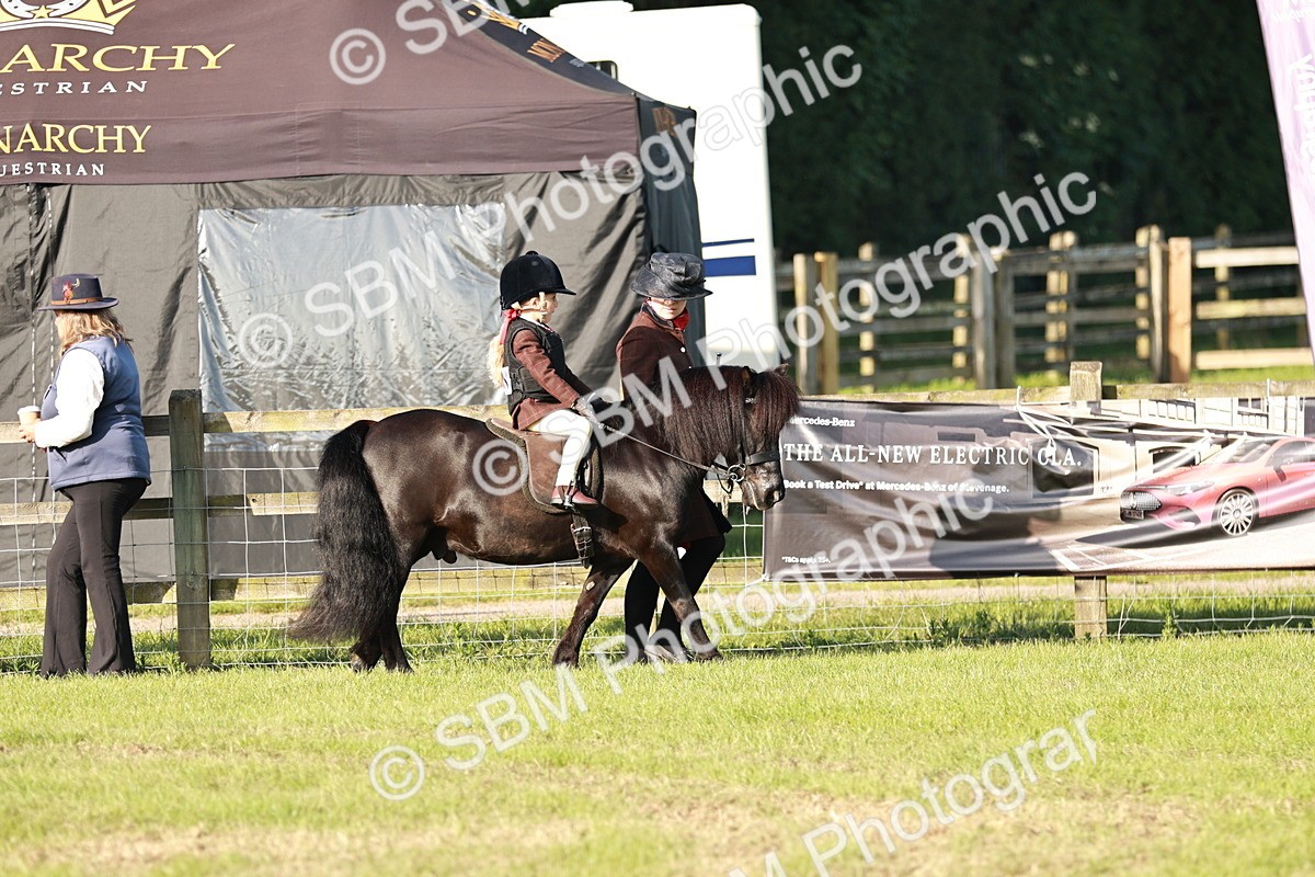 SBM_10986 - Class 106-107 - BSPS LIHS Working Sports Pony