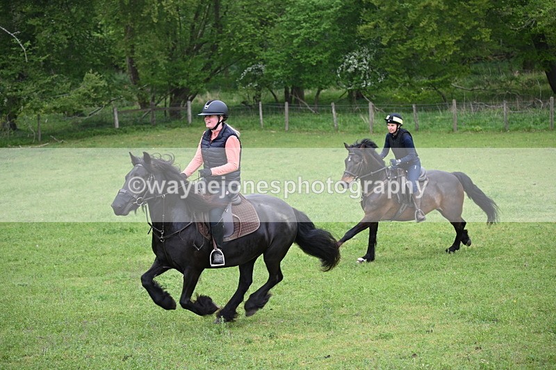 WJ6_2689 - A camera