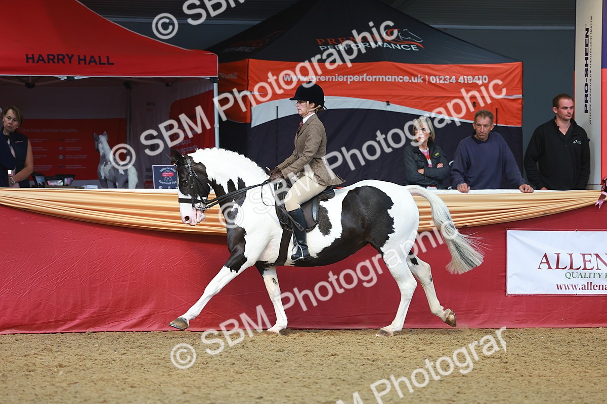 SBM_10596 - Class 103 - HOYS Veteran Qualifier - Ridden Pre Vet