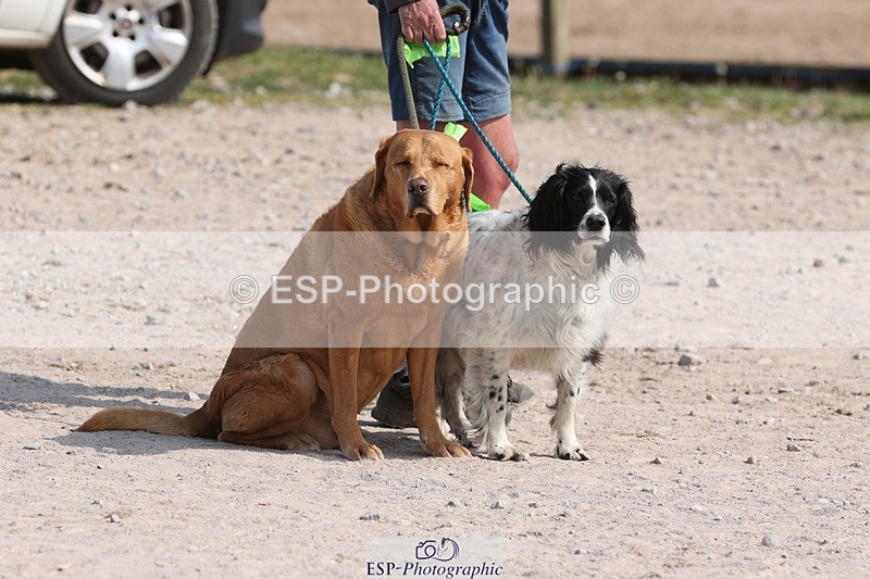 250508-161103-03907 - Cls 12 Snr Newcomers