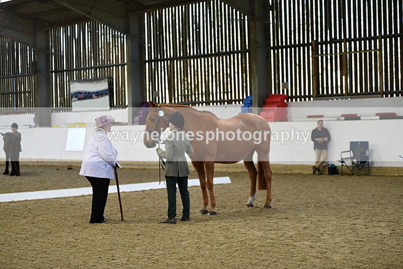 WJ5_3605 - Class 5 In Hand Veterans