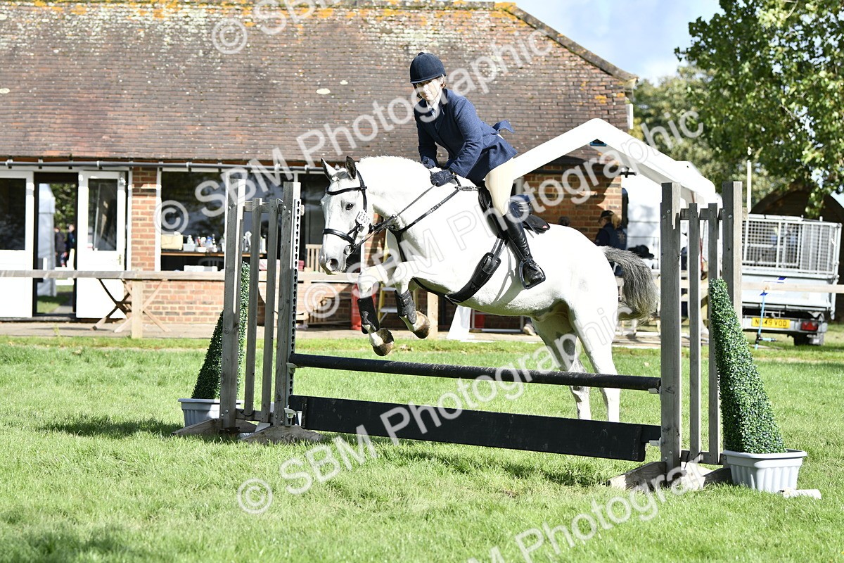 SBM_49963 - S34 - Novice & Newcomers Working Hunter