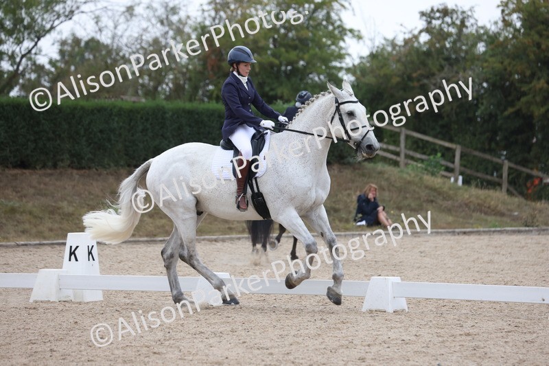 20250820-0318 - Class 11 - My Quest Novice 3