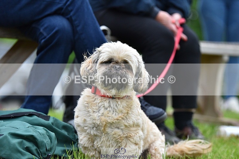 240523-193446-06587 - Candid and Saturday Hobby Horse