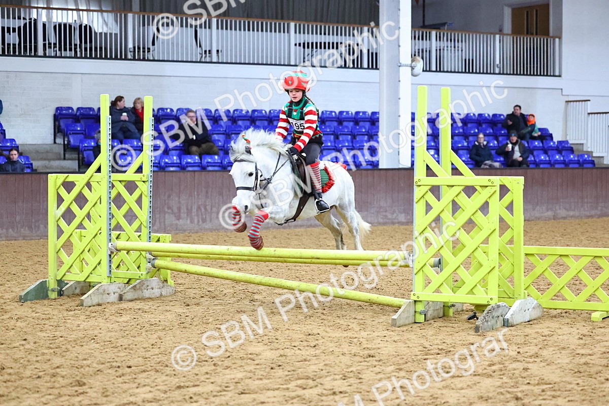 SBM_001344 - Class 3 - Christmas Tree Stakes - 60cm