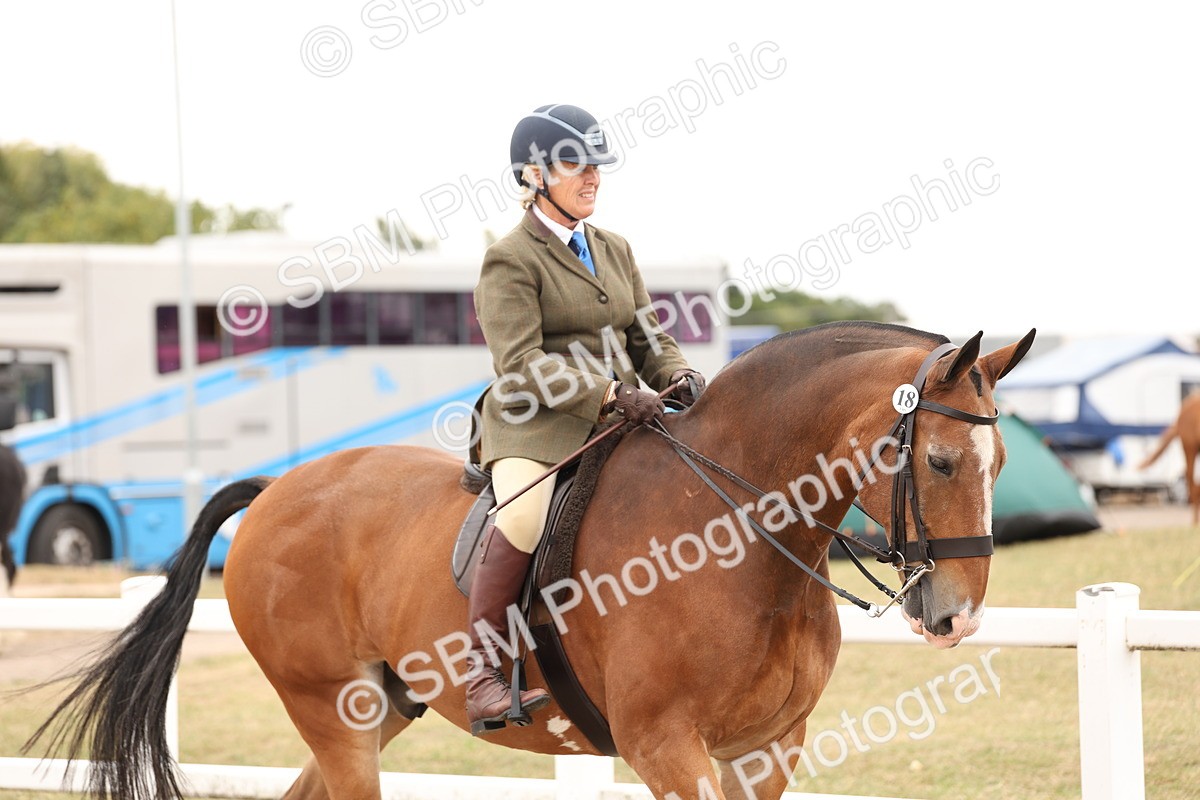SBM_19488 - Class 215 - Ridden Show cob