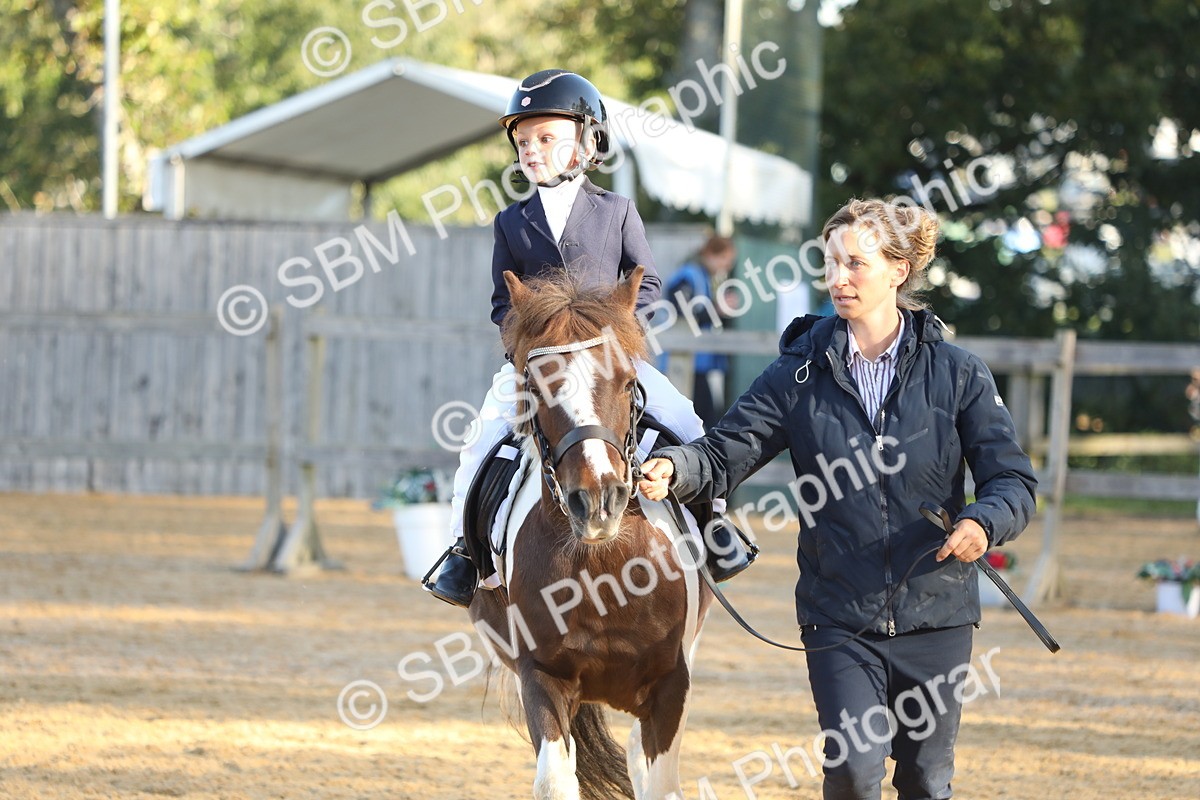 SBM_33698 - D26 - Starers - Lead Rein