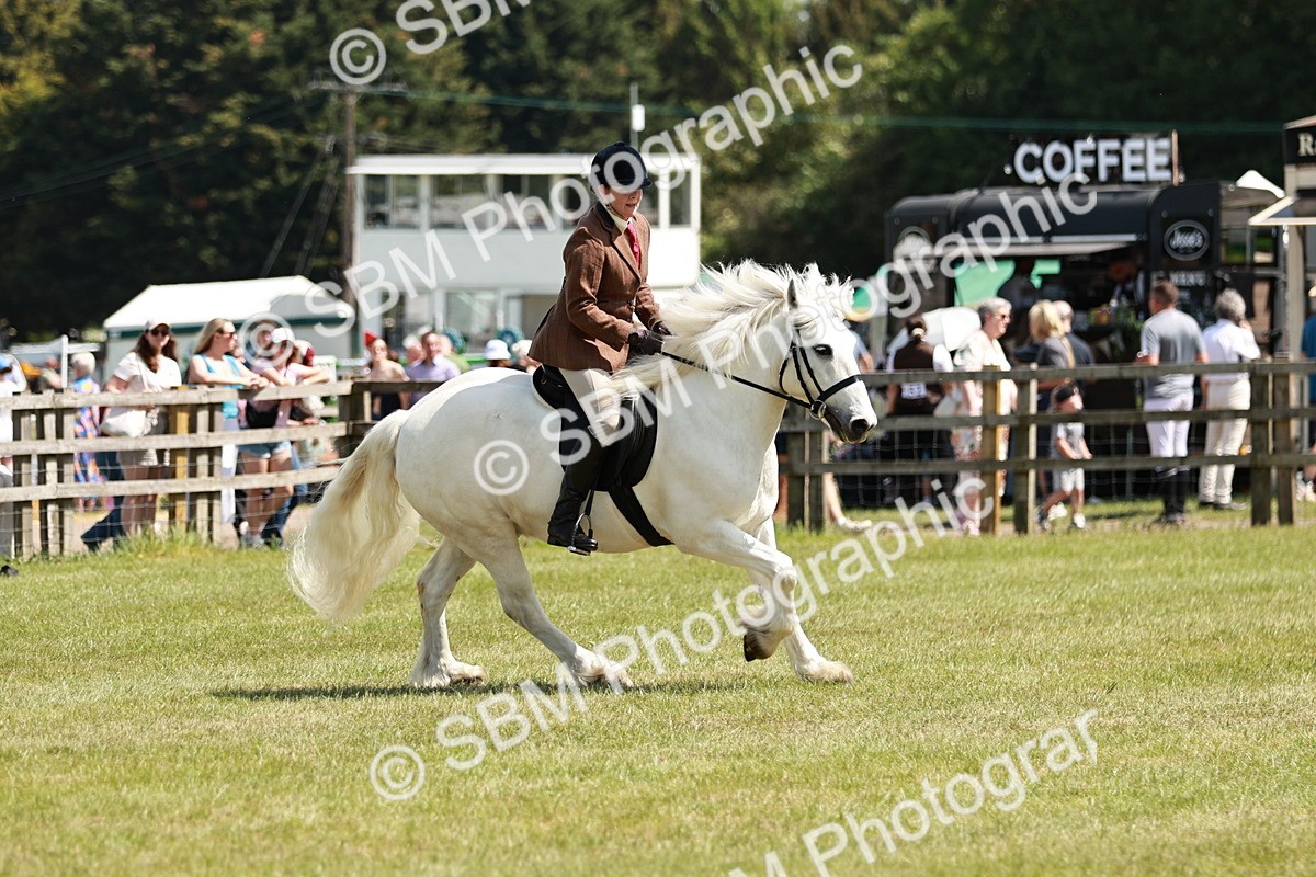 SBM_07090 - Class 26-30 - Mountain and Moorland Ridden