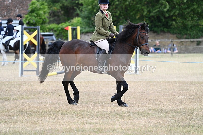 WJ7_0618 - Class 6 Ridden Mountain and Moorland