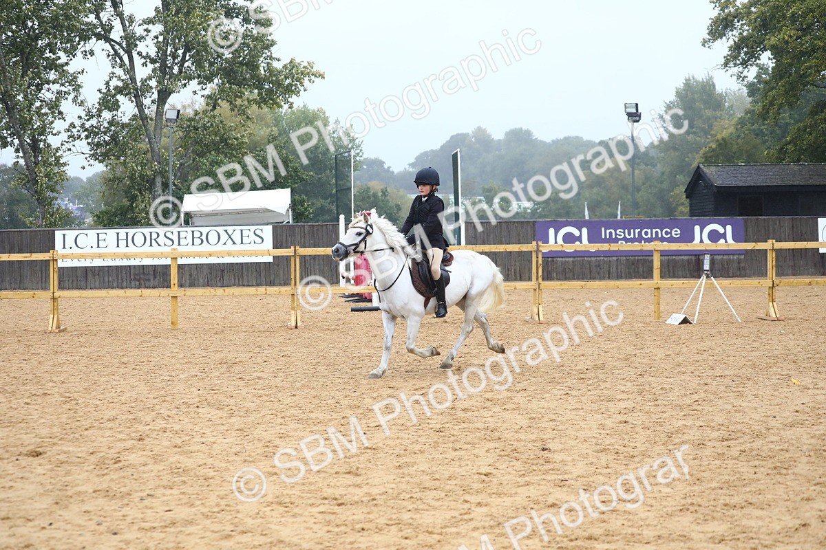 SBM_71676 - J4 - Mini Tour Junior Pony 45cm Championship