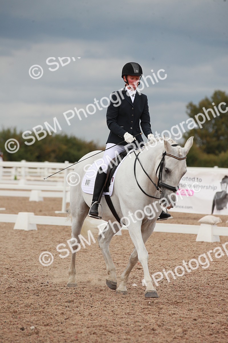 SBM_06039 - Class 32 - Novice 1