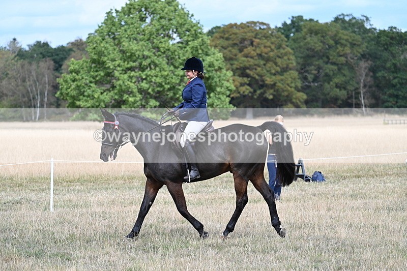 WJ7_5788 - Class 13 Ridden Veterans