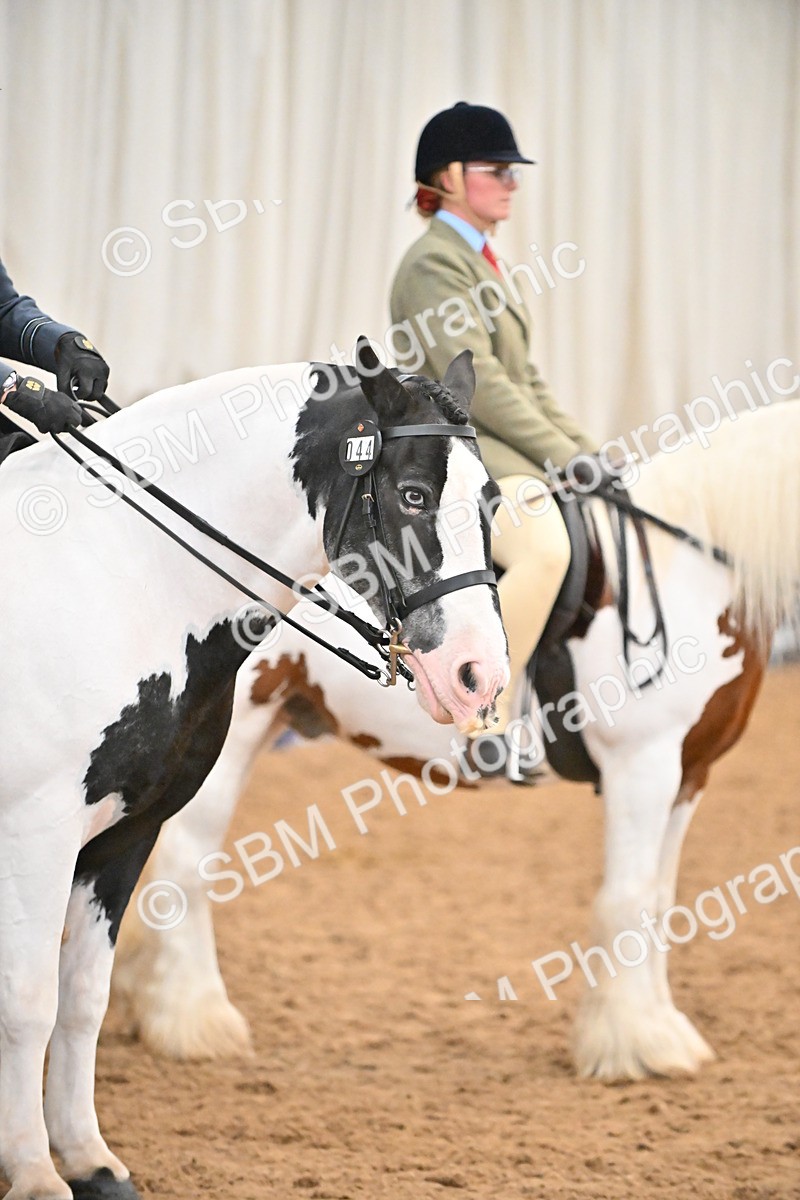 SBM_002653 - Class 28,29 - Ridden Irish & Coloured