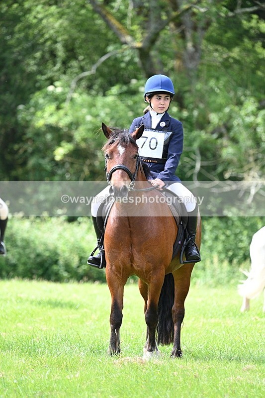 WJ7_1380 - Class 11 Condition & Turnout