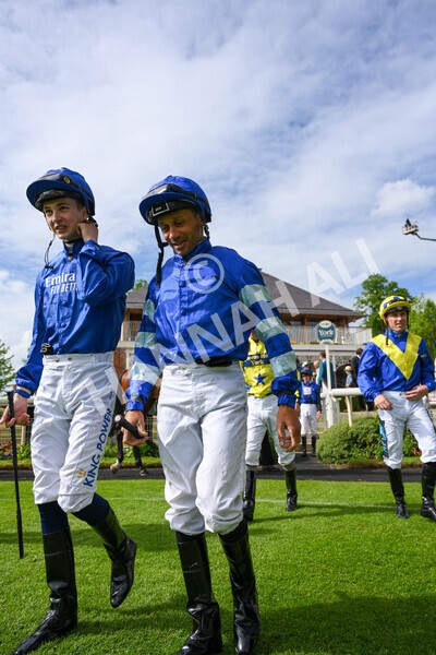 yr21052022r6-4 - Race 6: 4:42pm Yorkshire Regiment Stakes