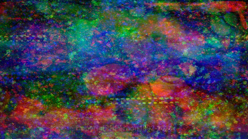 EXCHANGE lX - EXCHANGE 2021