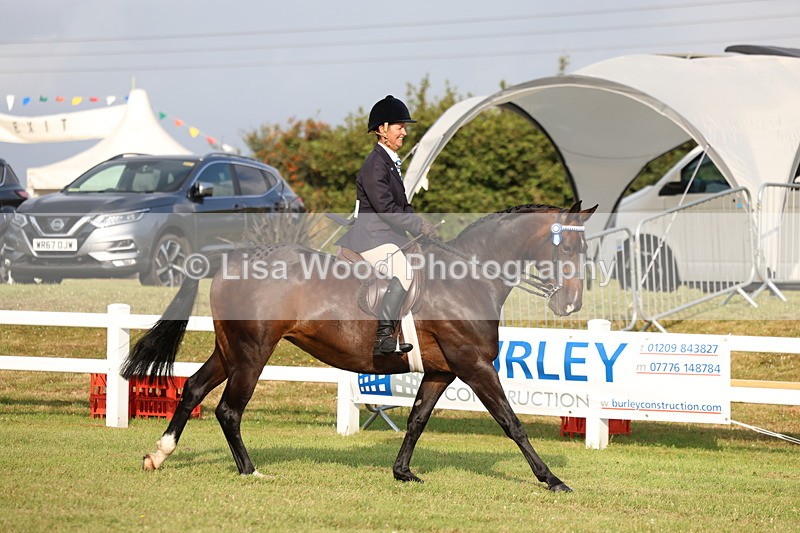 3E7A7705 - Class 1: Rising Star Small Hack/Riding Horses