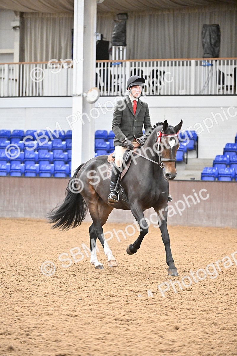 SBM_001464 - Class 19,20 - Ridden Native, Foreign Breeds & Warmbloods