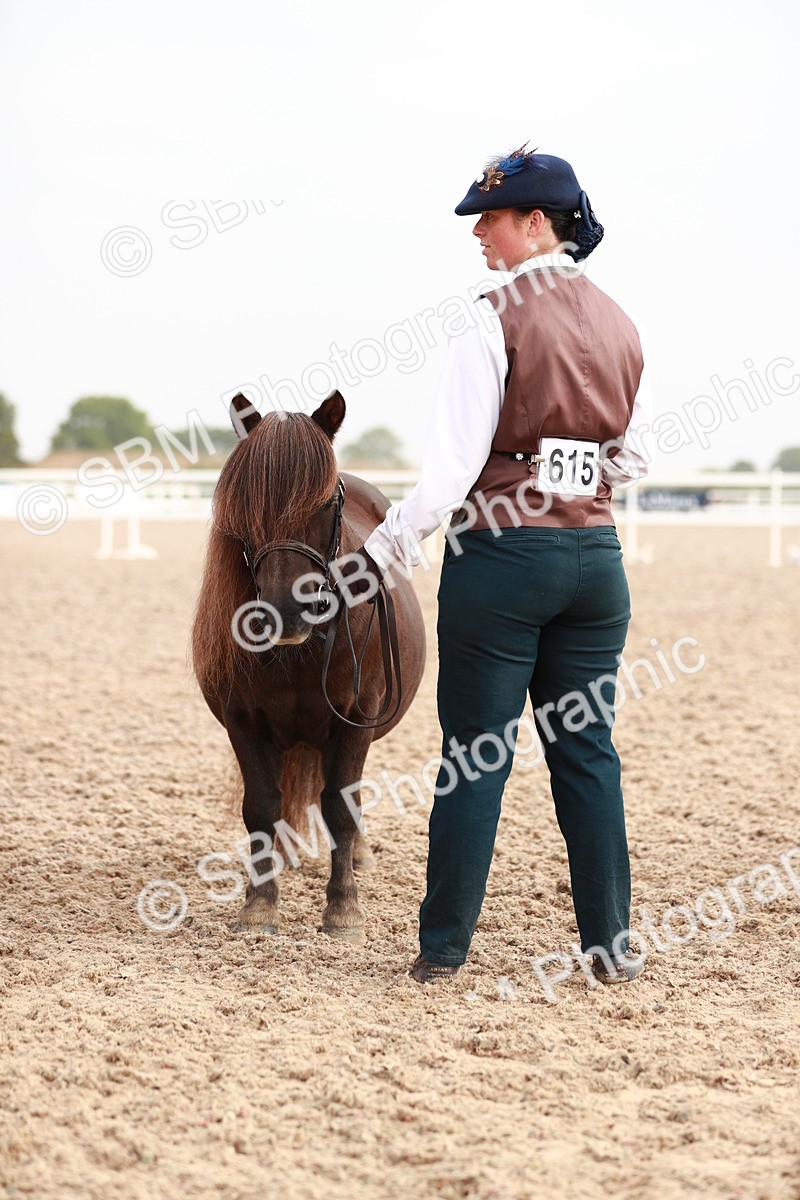 SBM_09548 - Class 201 Best Turned Out IH