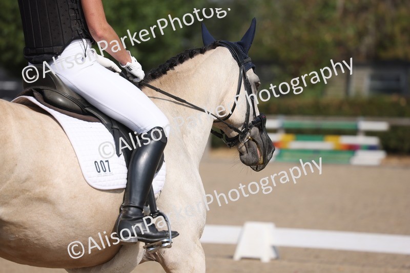 20260815-0203 - Class 2 - Intro 3