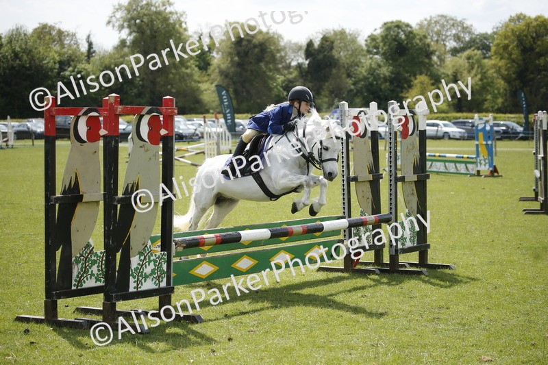 20250427-3786 - Class 14 - Absolute Novice 70cm
