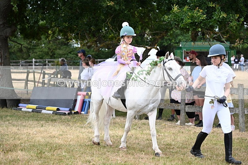 WJ6_4636 - Class 11 Fancy Dress