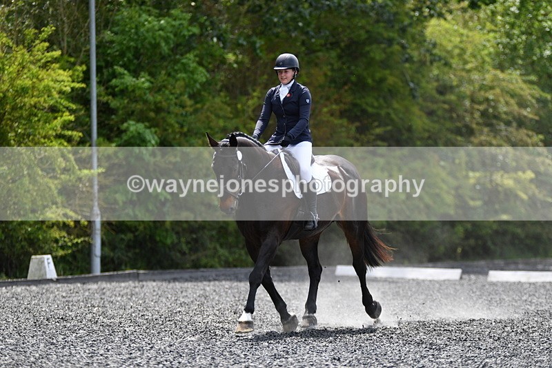 WJ5_0446 - Time 12:24 to 13:01