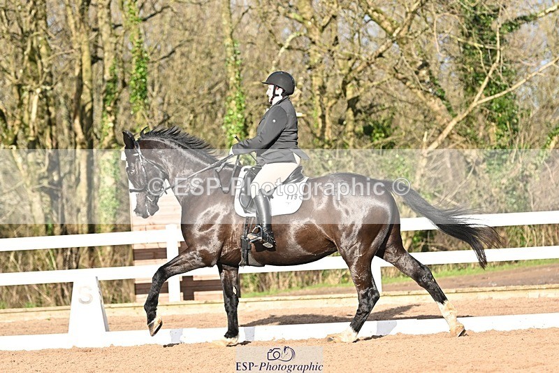 241214-125320-01753 - 119-Rosey.Bradburn-High.Spirits.II