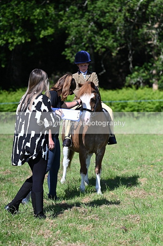 WJ7_0503 - Class 8 First Rally Pony