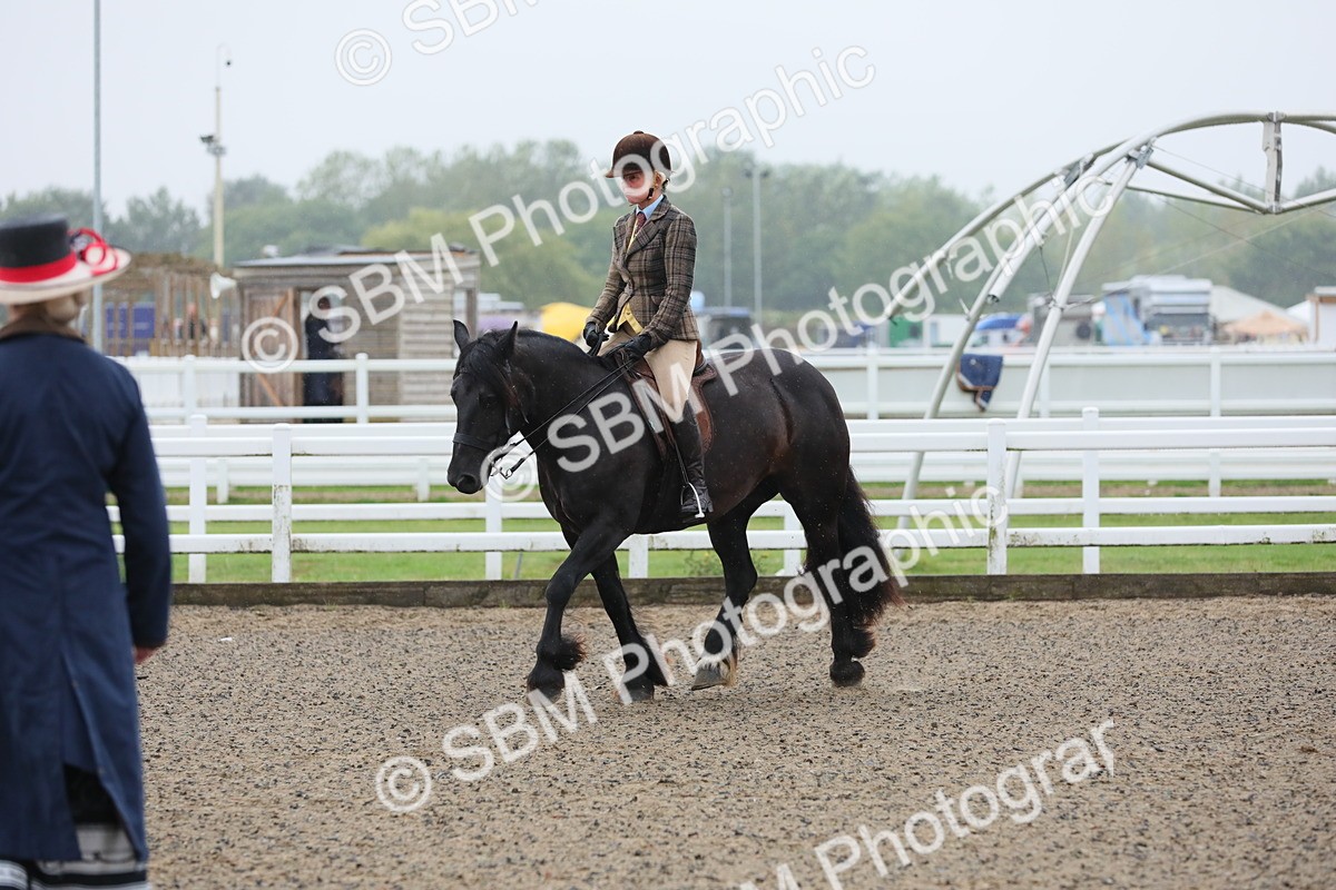 SBM_19880 - Class 801 - Ridden Veteran