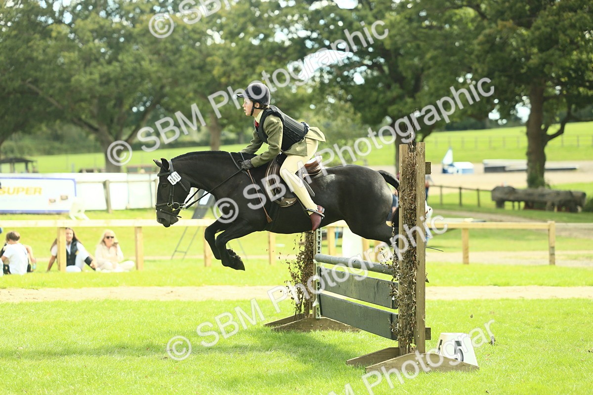 SBM_44742 - S31 - Working Hunter Pony