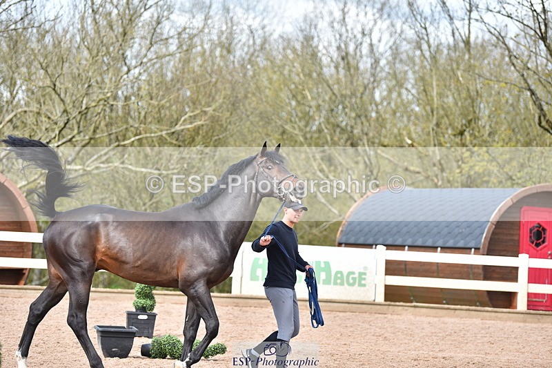 240417A-151902-00829 - 3pm to 4pm