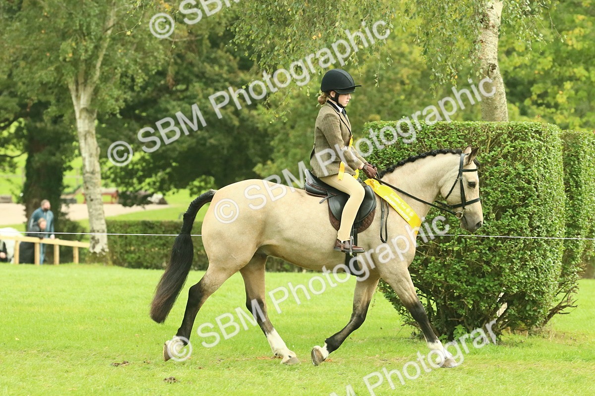 SBM_74994 - Ridden Pony Supreme Championship
