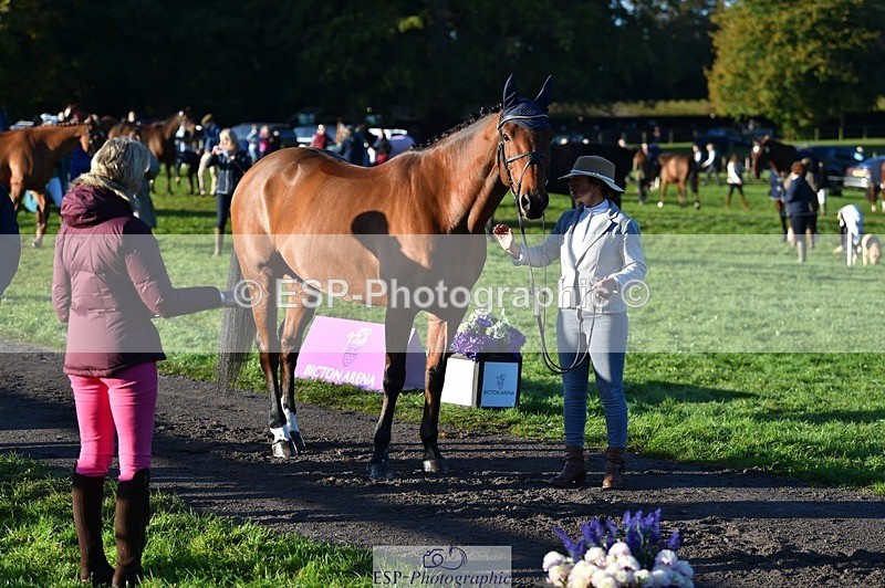 231022-091020-21596 - 492-RUTHSTOWN.MILLFALL.BOY-Naomi.Watkins-TrotUp+SJ