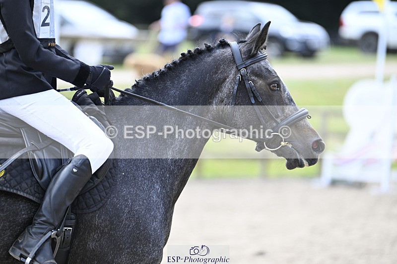 240823X-132843-17624 - 60cm R2 12.30 to 14.40 - All Photos