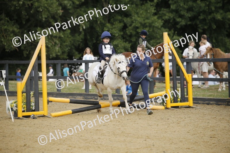 20250622-1303 - 40cm