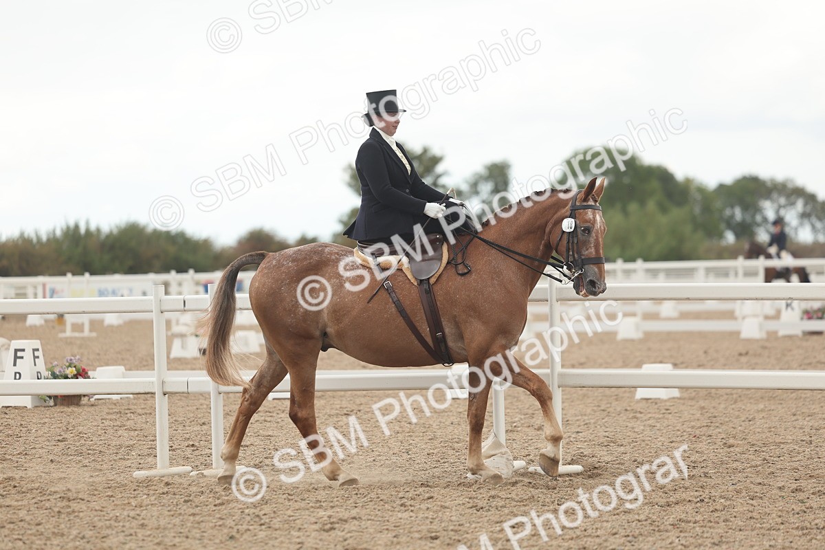 SBM_06320 - Class 23 - SSA - Classical