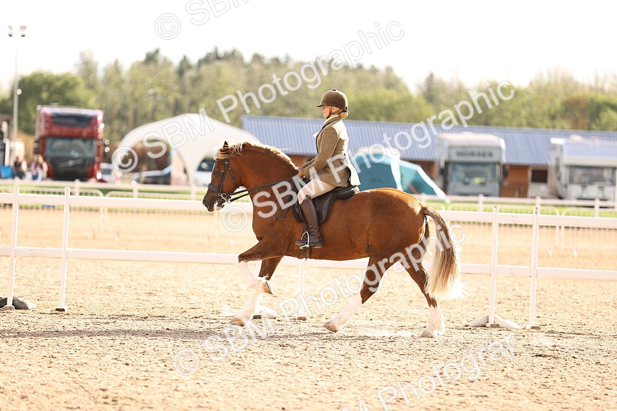 SBM_18260 - Class 423 - Equitation (best rider) Adult