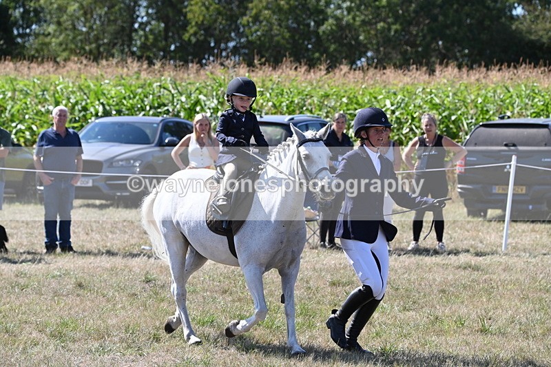 WJ6_8004 - Class 36 Lead Rein