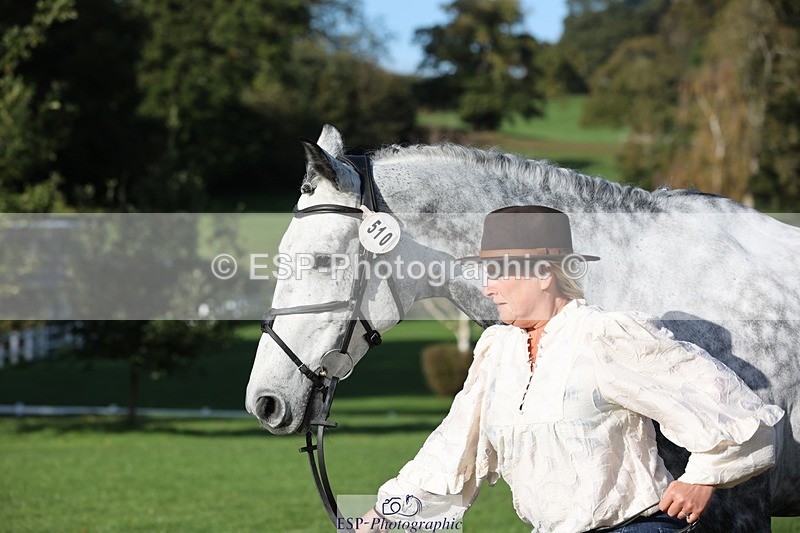 241027-101008-15730 - 510-Kathryn.Virjee-BROWNSTOWNS.SEAWATCH