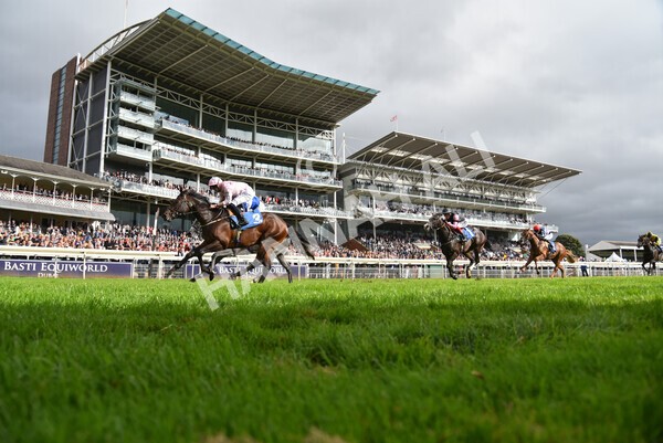 yr24092021r4-34 - Race 4 3.15pm William Hill Play Responsibly British EBF Restricted Novice Stakes