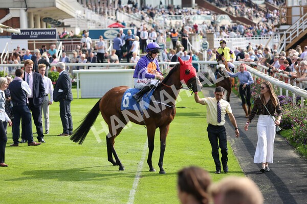 yr05092021r2-9 - Race 2 2.40pm John and Judith Marshall Memorial Stakes