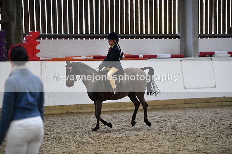 WJ5_6965 - Class 10 Childs Pony