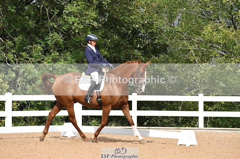 230912A-111218-00530 - Cls 7 Elementary 40