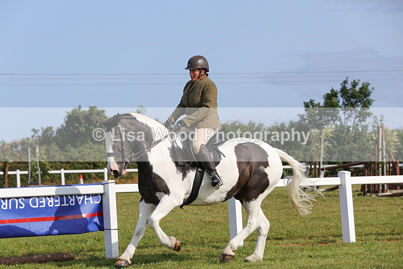 1X9A3300 - Class 28: Ridden Native/Trad Coloured Pony