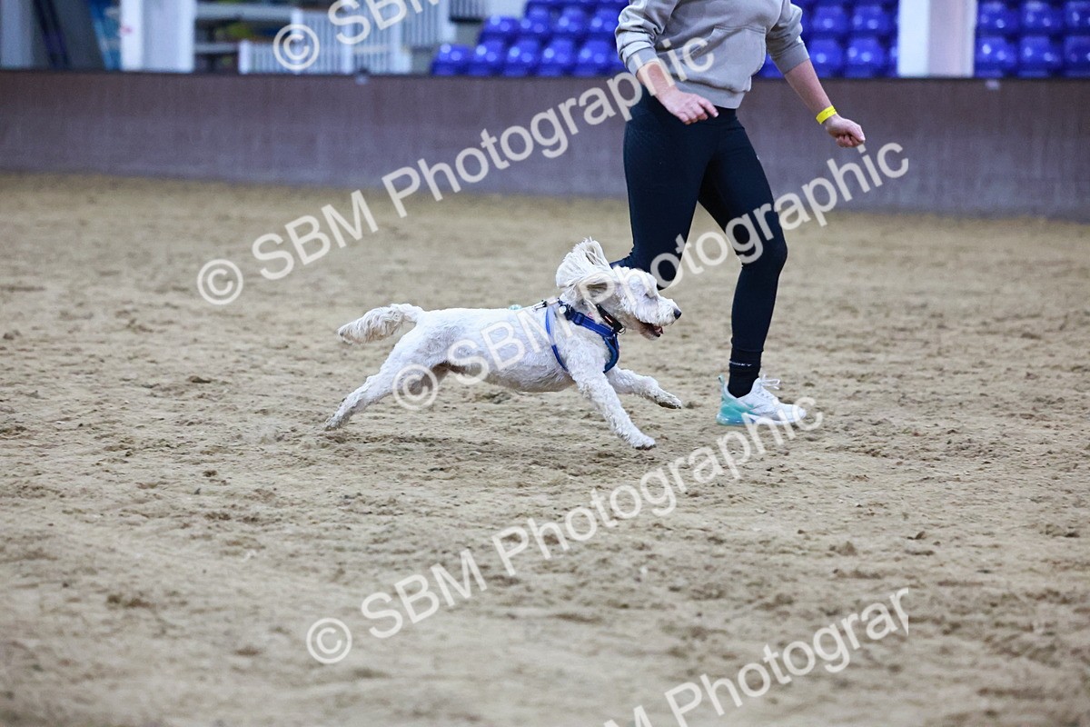 SBM_005909 - Evening Performance