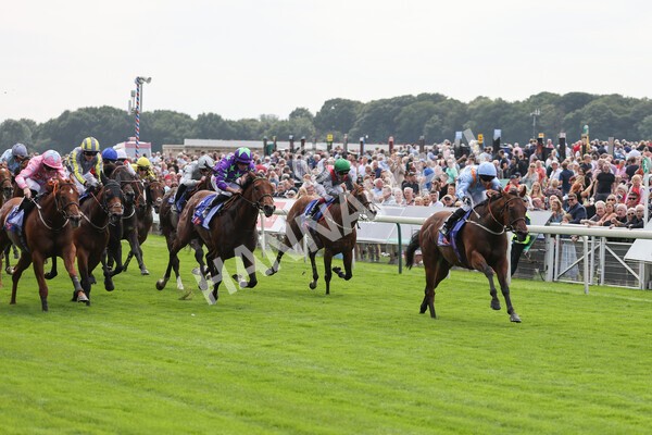 yr18082021r1-54 - Race 1 1.50pm Sky Bet & Symphony Group Stakes